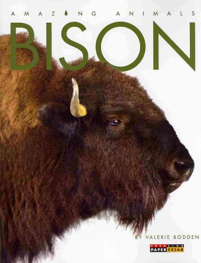 Bison / by Valerie Bodden.