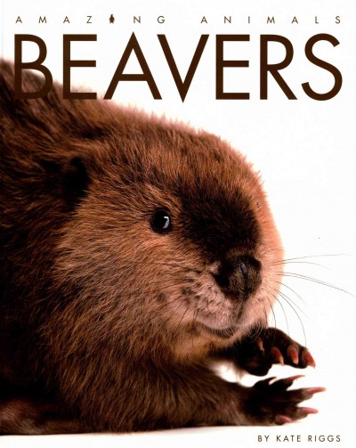 Beavers / by Kate Riggs.