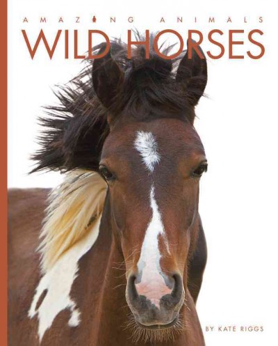 Wild horses / by Kate Riggs.