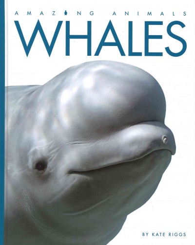 Whales / by Kate Riggs.