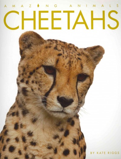 Cheetahs / by Kate Riggs.