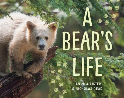 A bear's life / Ian McAllister & Nicholas Read.