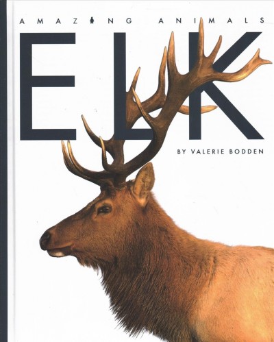 Elk / Valerie Bodden.