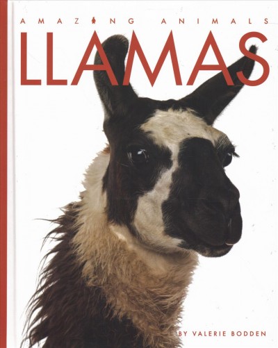 Llamas / Valerie Bodden.