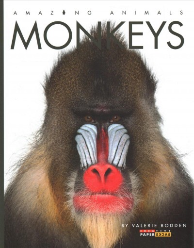 Monkeys / Valerie Bodden.