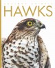Hawks  Cover Image
