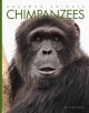 Go to record Chimpanzees