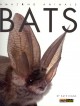 Bats  Cover Image