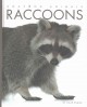 Raccoons  Cover Image
