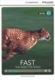 Fast : the need for speed : level A1+  Cover Image