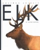 Elk  Cover Image