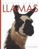 Llamas  Cover Image