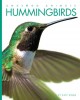 Go to record Hummingbirds